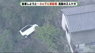 茂みがクッションに? 軽自動車が4メートル転落 静岡市