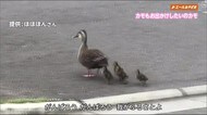 エールみやざき 5月29日