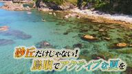 砂丘だけじゃない！大阪・関西万博会場から最も近い世界ジオパーク！山陰海岸でアクティビティ満喫の旅を【鳥取発】