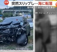 車が海に転落…コントロール失ったか　大型トラックが中央分離帯を突き破って対向車と激突する瞬間も　トルコ・韓国