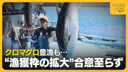 クロマグロ豊漁続くも“漁獲枠の拡大”合意至らず　「やっぱりか…」漁師からは“諦めの言葉”もマグロ放流による損害大きく「かなり痛手」新潟・佐渡市