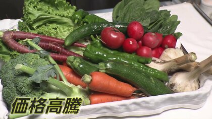 “月曜日の雨”が続き高騰の要因に…トマト・なす・ピーマンなど夏野菜が高値　「対処のしようがない」夏メニューがピンチ