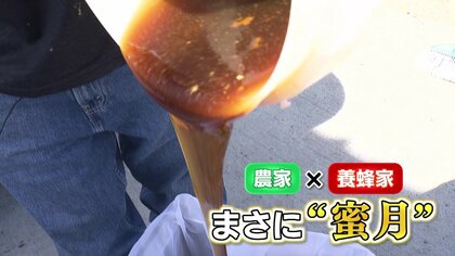 意外！白いソバの花から「黒い蜂蜜」　農家も養蜂家もうれしい「出雲そば」の新名物が誕生