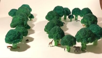 インスタ・フォロワー279万超、10年間毎日更新…日用品を見立てる”ミニチュア写真家【鹿児島発】