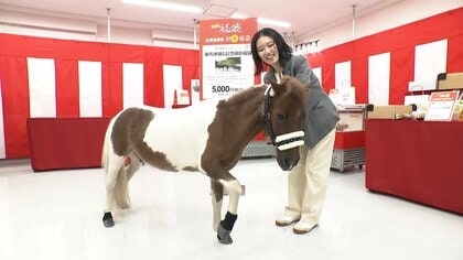 各デパートで福袋商戦スタート　“ウマづくし”“アイドルなりきり”など体験の福袋も