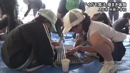 アイガモ農法を学ぶ人吉市の小学生が種まき体験【熊本】