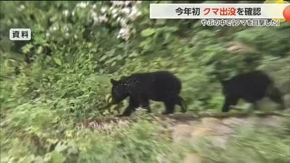 富山市で今年初のクマ目撃　山菜取りシーズンと重なり警戒強化　地区センターから500mに「小柄なクマ」