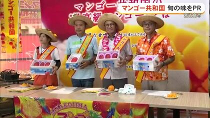 今年も出現！マンゴー共和国！　甘くてジューシーな宮古島産マンゴーをPR