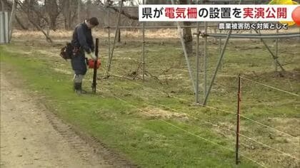 クマの農業被害対策に「電気柵」周知へ　県果樹試験場で実演公開　農家や集落ごとに最適タイプ選択を　秋田