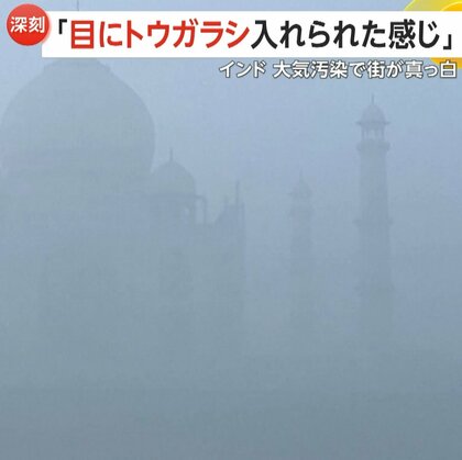「まるでコロナ禍のロックダウン」インド大気汚染が深刻化…視界が真っ白でタージマハルも霞む　排ガス、農地の野焼き、気温低下が原因に