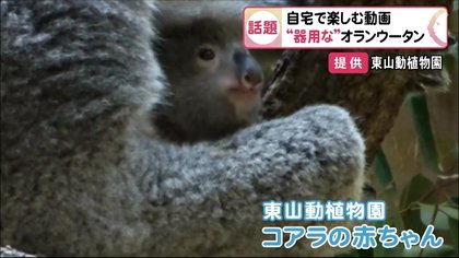 ほぼ真下に落ちる“白鯨”の感覚を自宅でも…自宅で楽しむ“リアル感 ほぼ真下に落ちる“白鯨”の感覚を自宅でも…自宅で楽しむ“リアル感