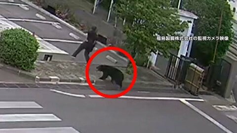 「従業員が襲われた」福島でクマが襲撃4人搬送　工場に侵入し居座り　箱わなやドローンで捕獲作戦　秋田の73歳女性死亡も被害か