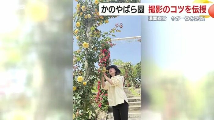 花を見ながら撮るようなポーズを意識すると良いそうだ