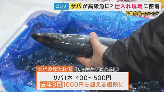 サバの仕入れ値は大幅に上がった