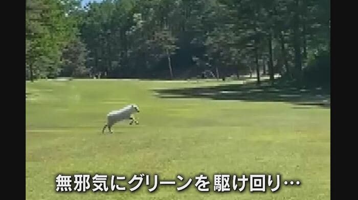 提供:塩嶺カントリークラブ