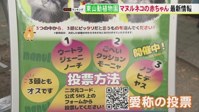 ニュースONE
