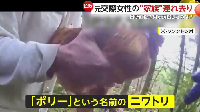 誘拐されたニワトリの「ポリー」(Kitsap County Sheriff's Office)