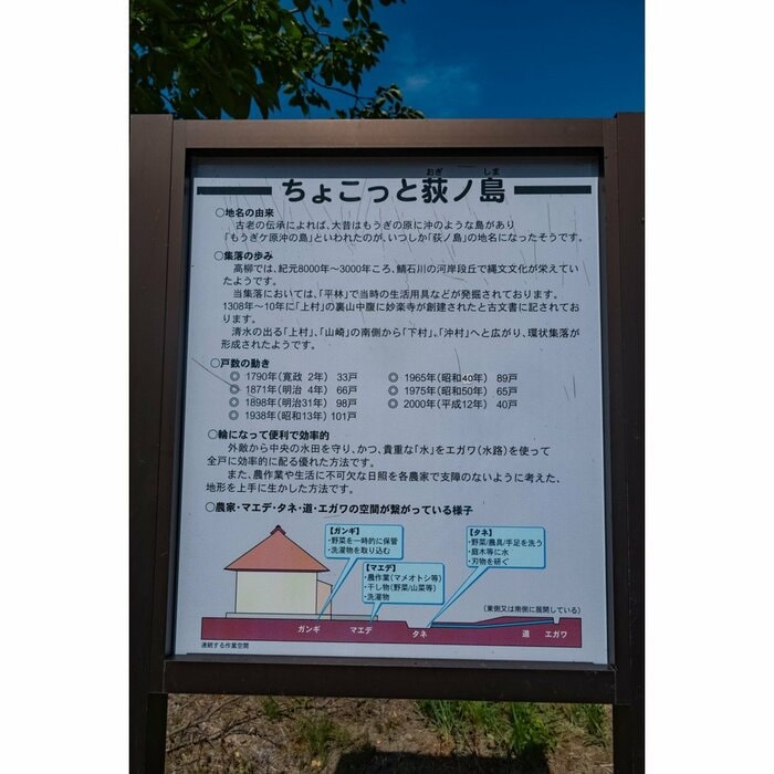 2025年8月撮影
