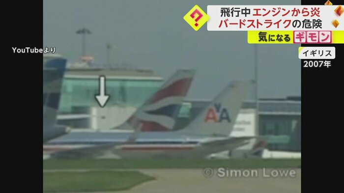 バードストライクが発生する直前、航空機の近くに小さく鳥の姿が映っている