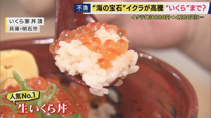 一番人気の生いくら丼