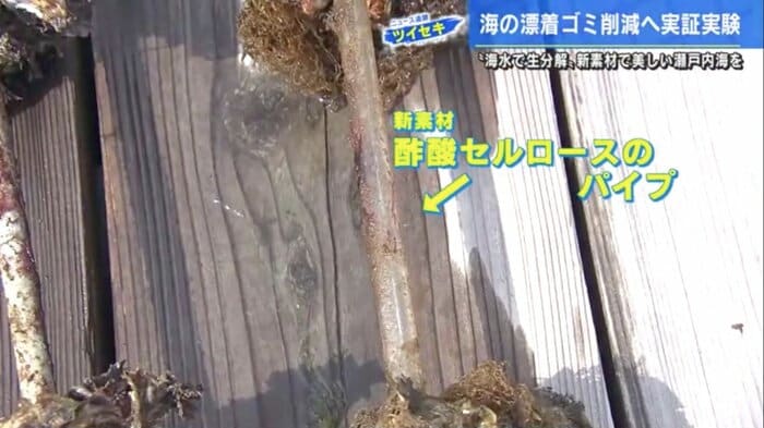 従来のポリエチレン製のパイプ(左)と酢酸セルロースのパイプ(右)