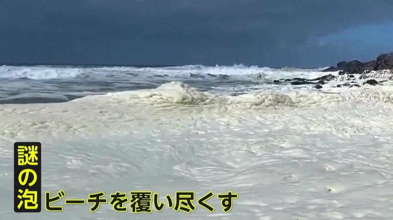 ビーチを覆いつくす“謎の泡”　目のかゆみ・呼吸困難などの人的被害も…大量発生した藻類が波で分解され発生か　オーストラリア｜FNNプライムオンライン