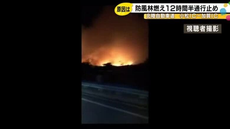 タバコの火の不始末か…高速道路沿いで防風林などが焼け約12時間半通行止め 焼失面積は東京ドーム1つ分｜FNNプライムオンライン