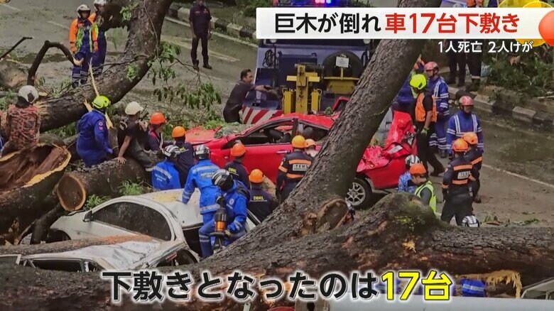 「オーマイガー！」巨木が倒れ車17台が下敷きに　交通量が多い道路が大混乱　1人死亡、2人けが　マレーシア｜FNNプライムオンライン