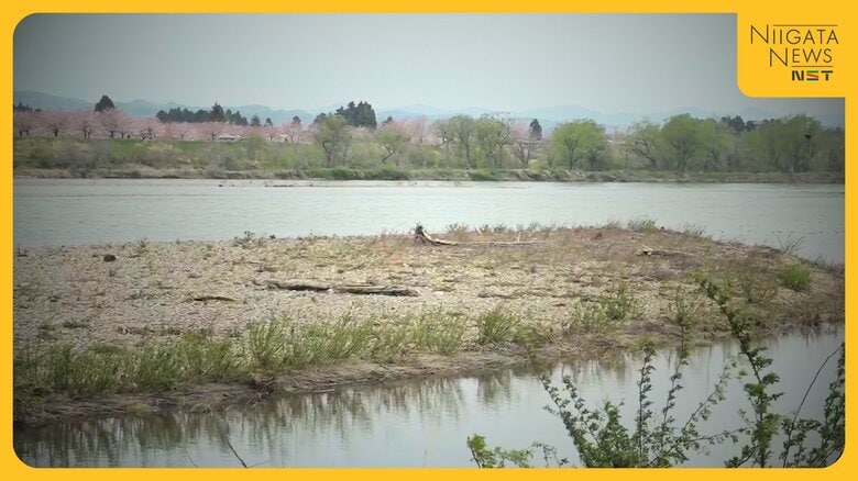 行方不明だった当時中学3年の女子生徒 自宅から約28km離れた信濃川中洲で遺体発見 死因は溺死か…死後数カ月が経過 新潟｜FNNプライムオンライン