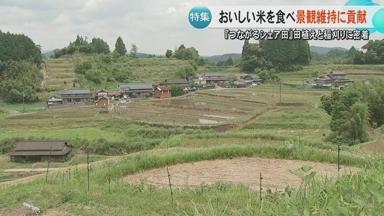 美しい棚田を守る取り組み『つながるシェア田』で稲刈り　元メジャーリーガーの岡島秀樹さんも参加し「いい経験」｜FNNプライムオンライン