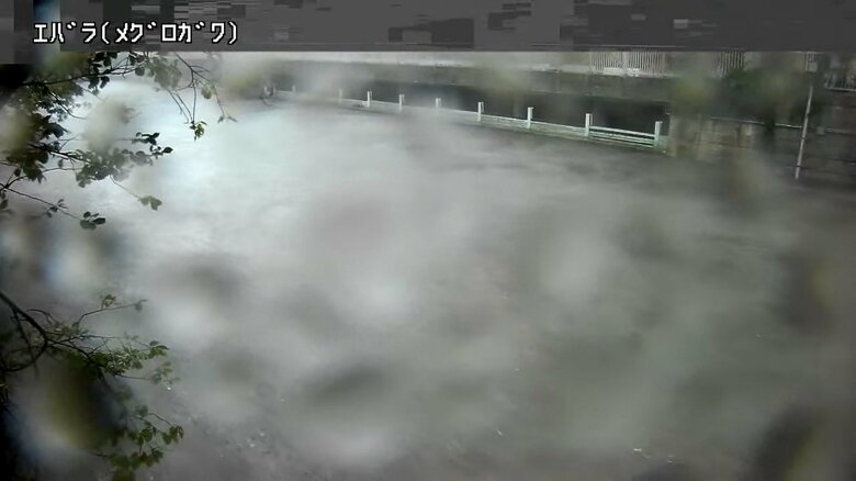 【速報】東京・目黒川で氾濫危険情報　流域住民に二階などへの避難呼びかけ　気象庁｜FNNプライムオンライン