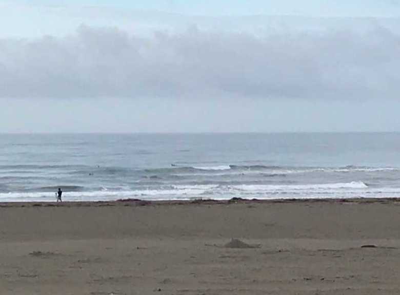 サーフィンの名所としても知られる入野海岸