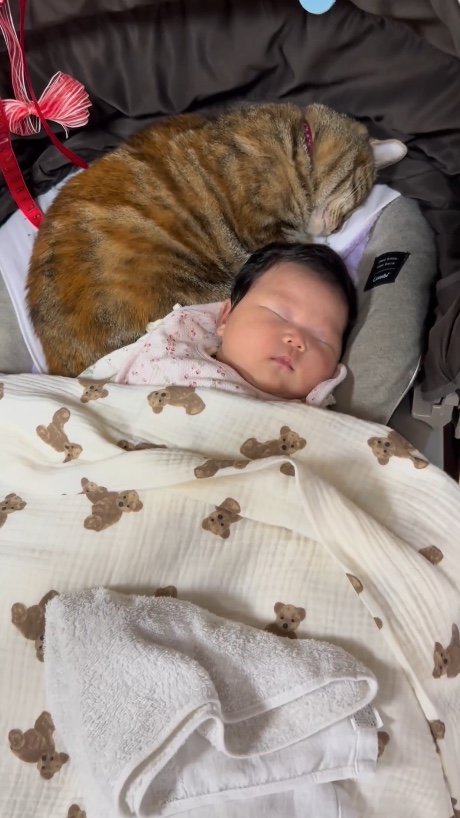 提供：エルモとみみりんさん