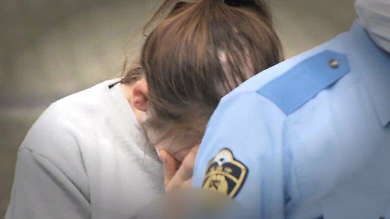新沢かれん容疑者