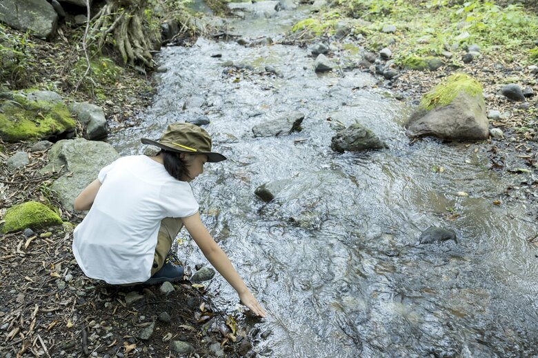 画像はイメージ
