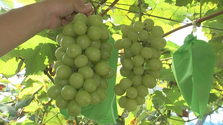 たすくファーム