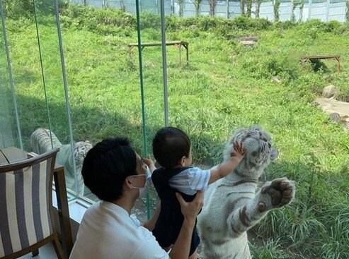 偶然撮れた「ホワイトタイガー」に突っ張りをかます息子と筆者