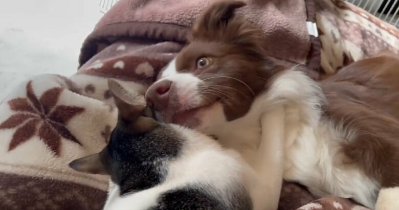 提供：ゆに＆メッシさん