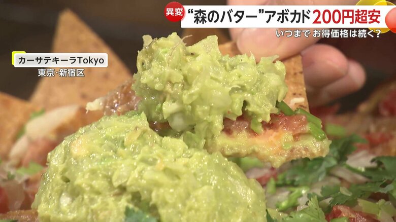 「カーサテキーラTokyo」で提供しているナチョス