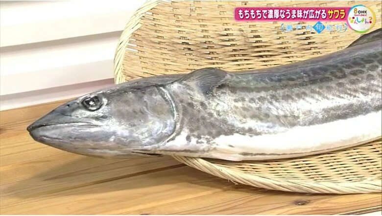 サワラ