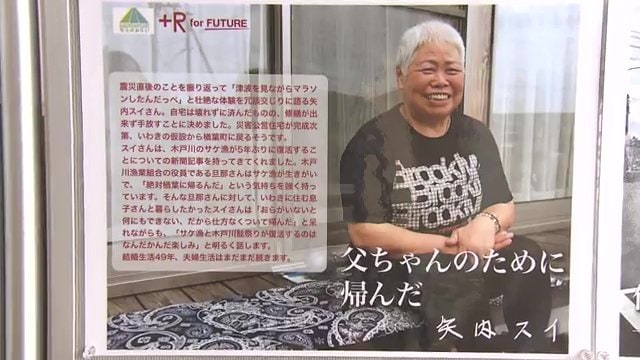 展示されたパネル