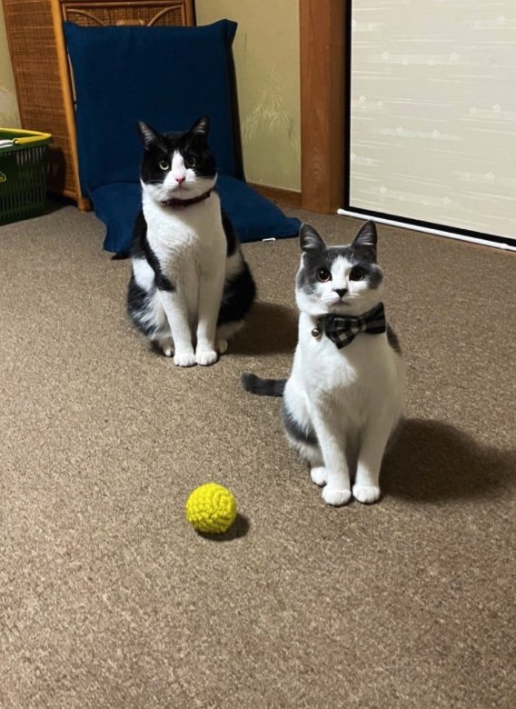 左：百福くん　右：柚ちゃん（提供：連呼 cubnushi all-starさん）