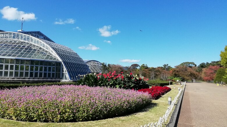 京都府立植物園（提供：京都府立植物園）