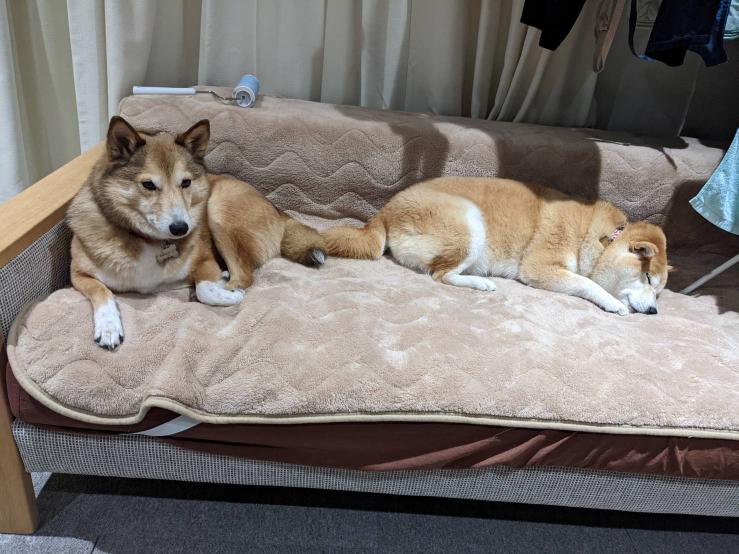 提供：natsumi.nnnさん