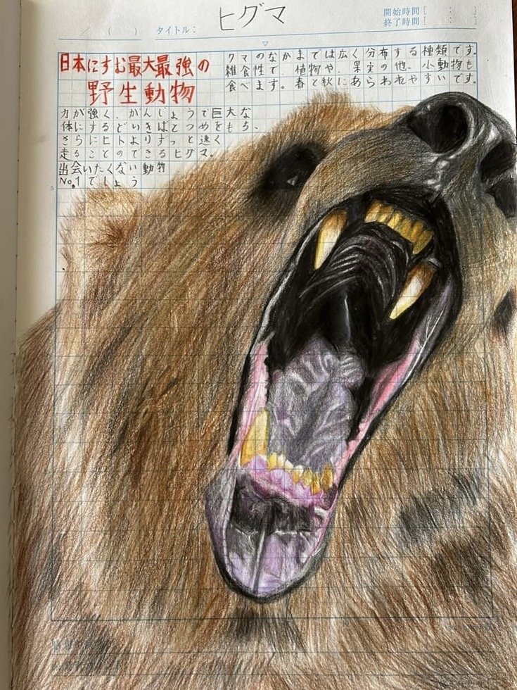ヒグマ（前回の取材時以降の作品）