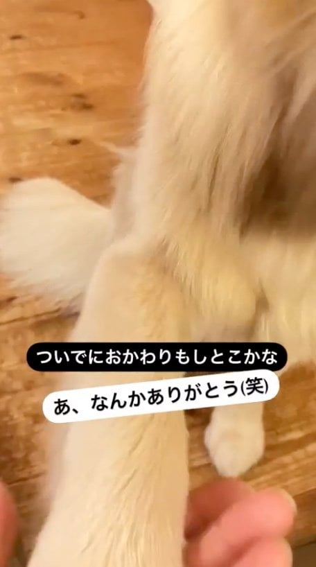 提供：エマさん