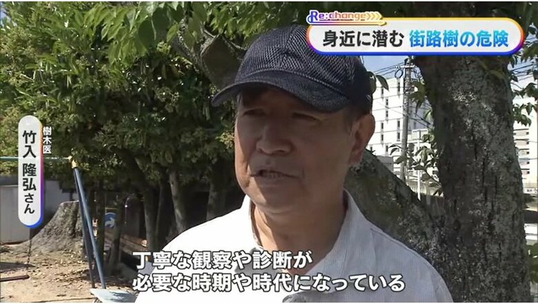 樹木医　竹入隆弘さん