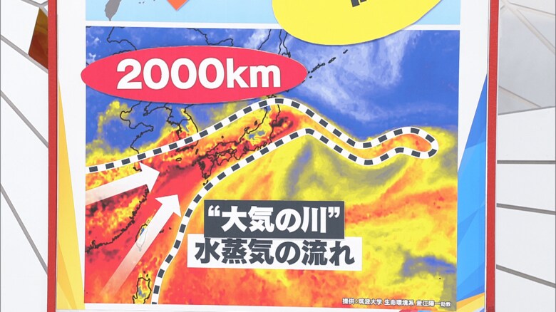 提供：筑波大学生命環境系 釜江陽一助教