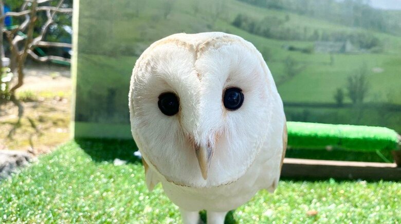 提供：周南市徳山動物園