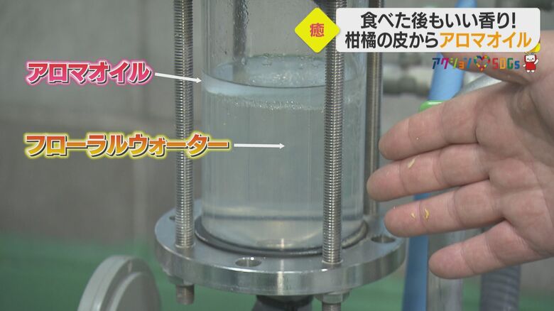 抽出されたアロマオイルとフローラルウォーター